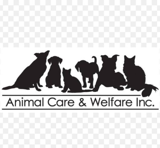 Animal Welfare